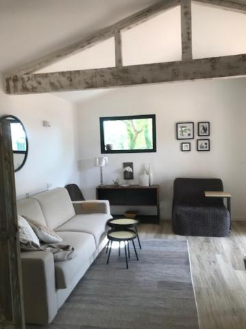 La Brindille Petit Mas Provencal Meuble De Tourisme 3 Etoiles 2-3 Personnes 1 Piece 30 M2 Tout Confort Lisiere Foret Jardin Jacuzzi Piscine Saint-Paul-en-Foret ภายนอก รูปภาพ