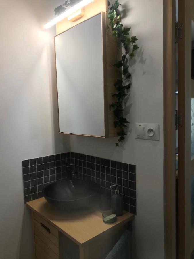 La Brindille Petit Mas Provencal Meuble De Tourisme 3 Etoiles 2-3 Personnes 1 Piece 30 M2 Tout Confort Lisiere Foret Jardin Jacuzzi Piscine Saint-Paul-en-Foret ภายนอก รูปภาพ
