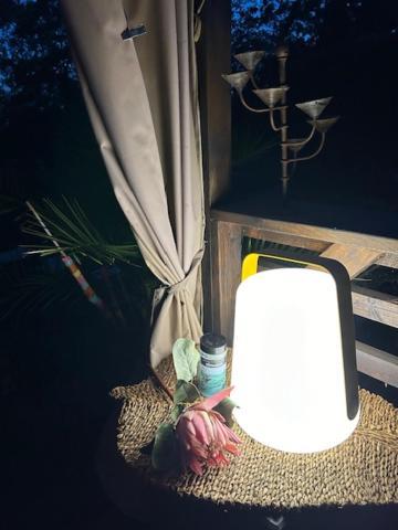 La Brindille Petit Mas Provencal Meuble De Tourisme 3 Etoiles 2-3 Personnes 1 Piece 30 M2 Tout Confort Lisiere Foret Jardin Jacuzzi Piscine Saint-Paul-en-Foret ภายนอก รูปภาพ